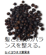 lush.teetree.seibun3